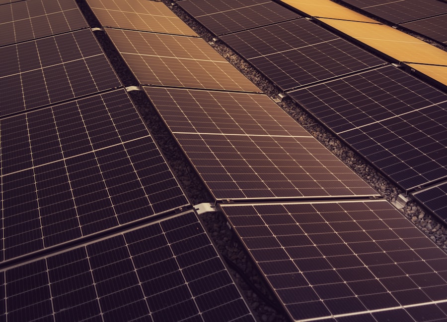 Fileiras de painéis solares sob céu azul